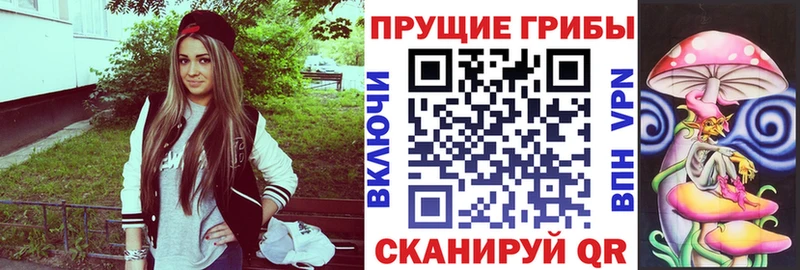 хочу OMG маркетплейс Галлюциногенные грибы Psilocybe Шали