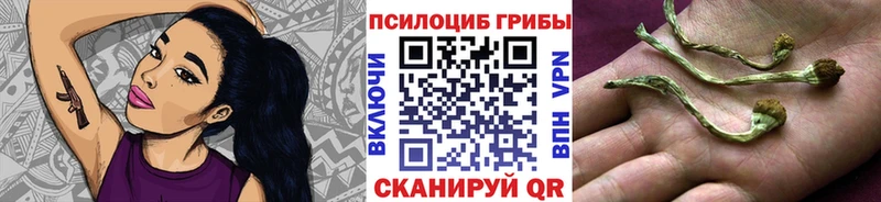 Псилоцибиновые грибы Cubensis Шали